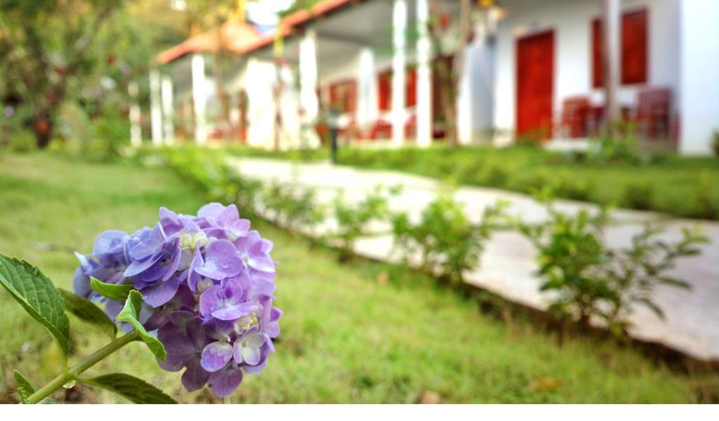 Highland Bungalow Phu Quoc Esterno foto